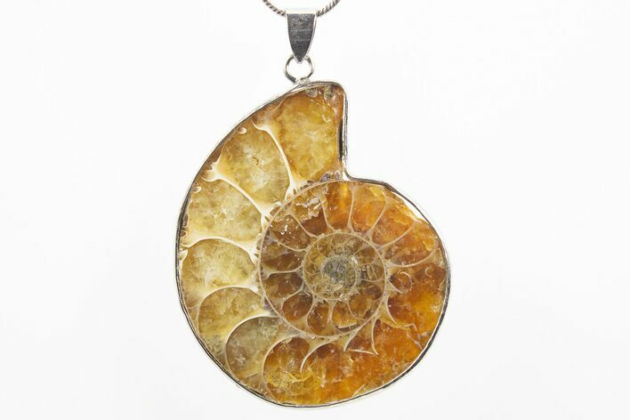 Fossil Ammonite Pendant - Million Years Old #306444